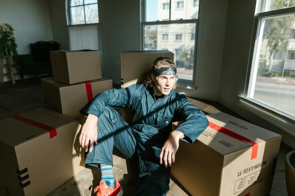 Prix d'abattage d'arbre : demandez un devis avant d'engager un professionnel